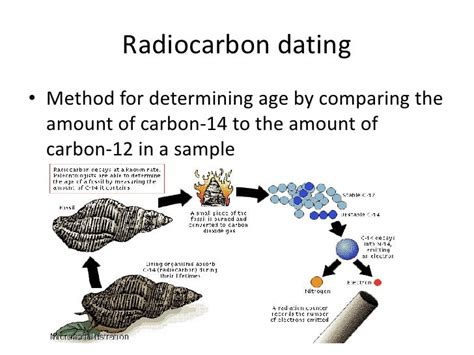 what is the science definition of radiocarbon dating